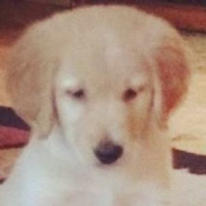 Meet your Posher, Kaye